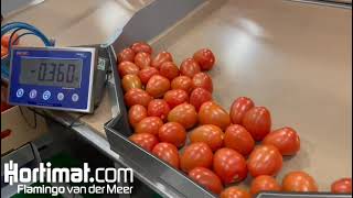 Aweta GM 3-12 tomato sorting machine for a customer in Abu Dhabi