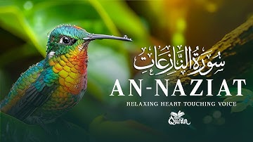 Surah An-Naziat  سورة النازعات (Be Heaven) | Meet The Quran