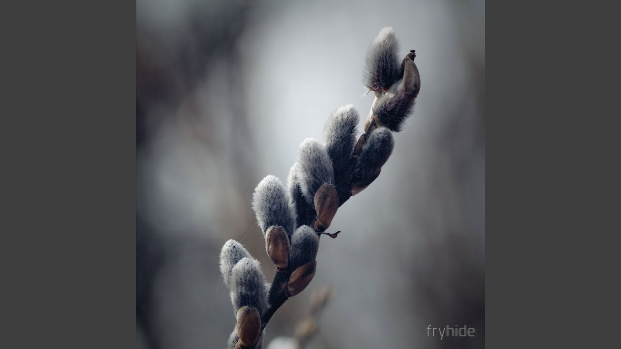 Watch Borne on YouTube Watch Borne on YouTube