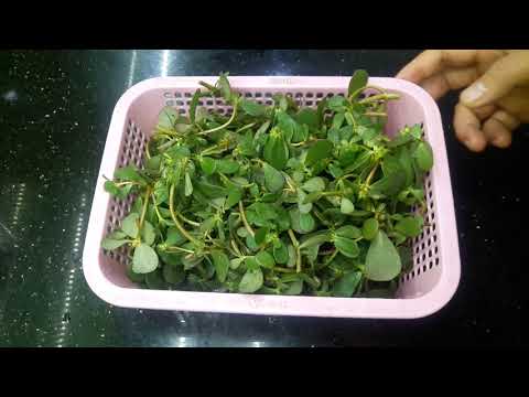 Video Cách nấu canh rau sam tốt cho sức khỏe - youtube