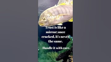 The Power of Trust: How to Build and Maintain Trust in Relationships