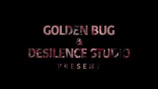 Golden Bug &amp; Desilence Studio - V.I.C.T.O.R LIVE @ MACBA MUSEUM