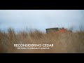 Cedar Tree Management and Prairie Conservation