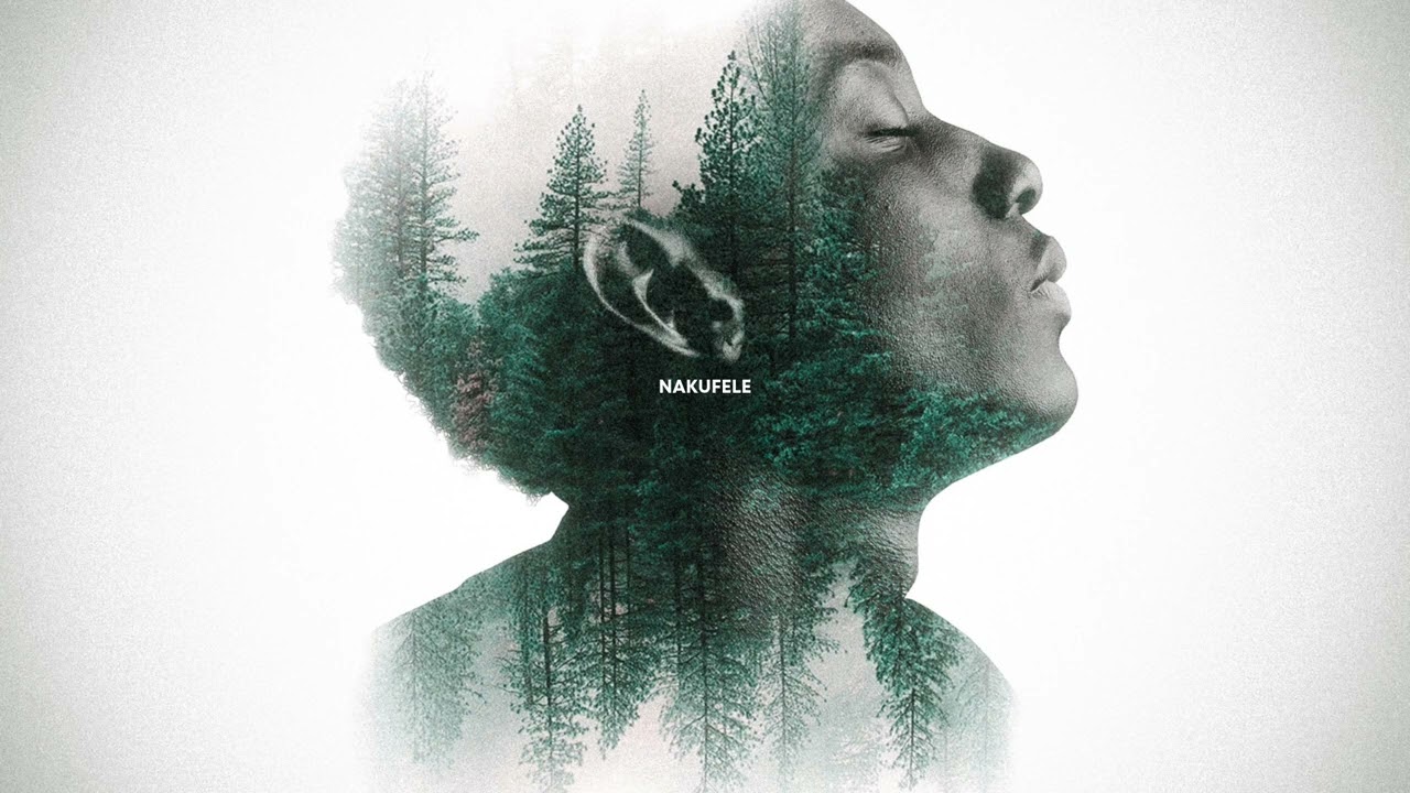 PK Chishala - Nakufele (Official Audio)