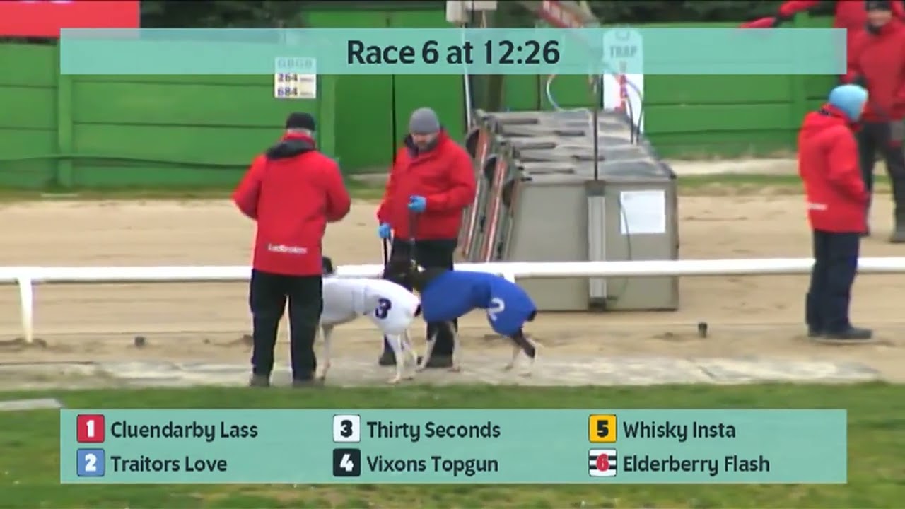 Monmore Greyhounds Races on 18th February 2026