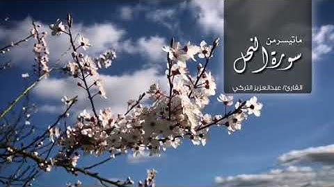 ماتيسر من سورة النحل | القارئ: عبدالعزيز التركي.