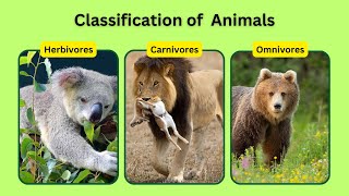 Classification of animals | Herbivores | Carnivores | Omnivores