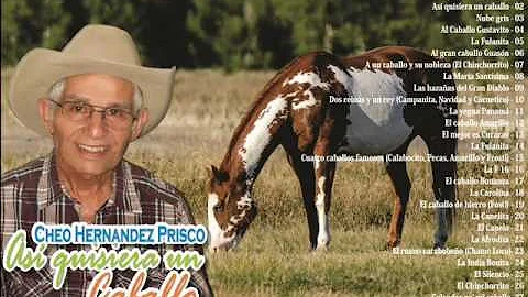 CHEO HERNANDEZ PRISCO   ASI QUISIERA UN CABALLO