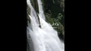 سورة العصر... القارئ محمد الغزالي... راحه نفسيه