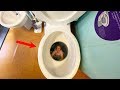 What's inside the World's Largest Toilet?