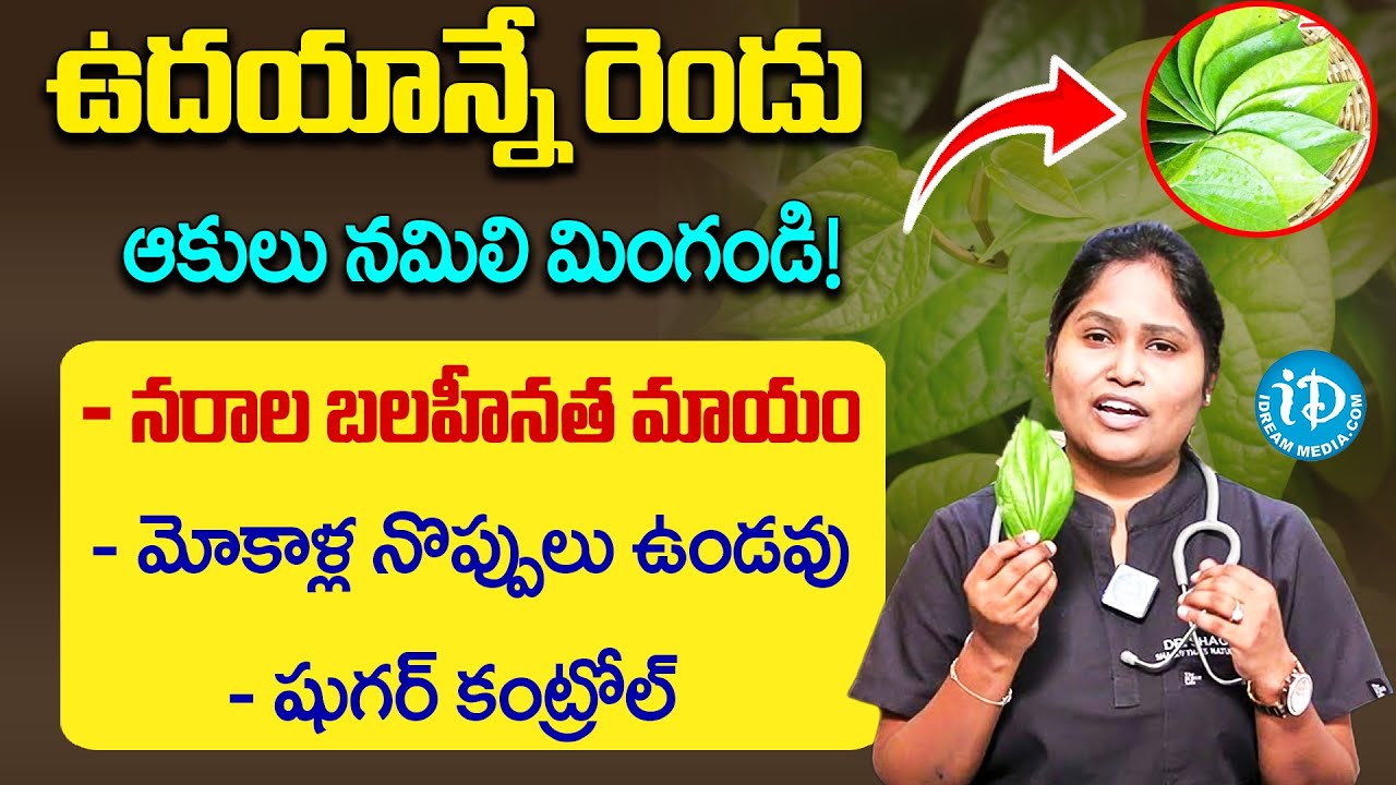 చచ్చుబడిన నరాలన్నీ చురుగ్గా పనిచేస్తాయి | Nerves Weakness Home Remedies | Dr CL Venkat Rao | iDream