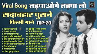 Download Lagu Viral song तड़पाओगे तड़पा लो Old Is Gold | मोरा नादान बालमा | तेरा जलवा जिसने देखा |Top20 Hits Song MP3 Download Lagu Viral song तड़पाओगे तड़पा लो Old Is Gold | मोरा नादान बालमा | तेरा जलवा जिसने देखा |Top20 Hits Song MP3