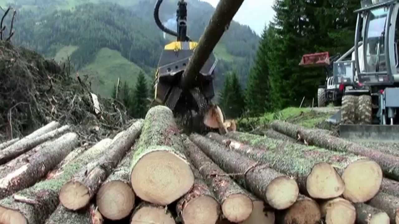 Schaubensteiner-Holz ZBH58+Koller 602