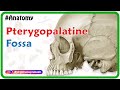 Pterygopalatine fossa : Head and neck Gross anatomy , medical animation