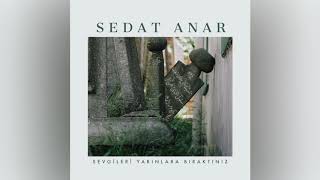 Sedat Anar - Çocukluktan Geçerek Resimi