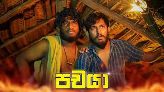 Pachaya | පචයා - Dukka Productions ( @Dukka @DukkaTV )