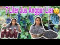 Panen Anggur Liar di Tepi Sungai Amerika| Wild Grapes at America River