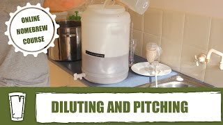 Diluting and pitching your wort || Online all grain homebrewing course