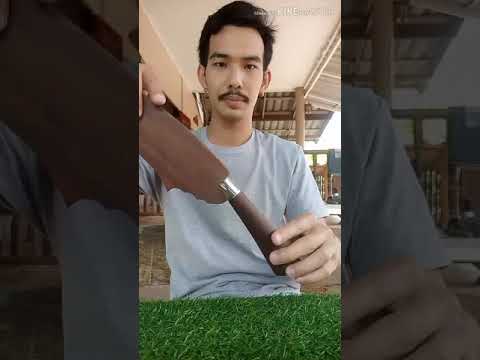 วีดีโอ: Kalopanax เจ็ดใบมีด