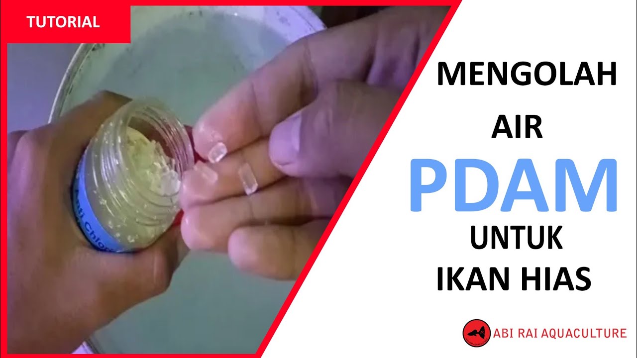 Cara Mengolah Air Pdam Untuk Ikan Hias - Youtube