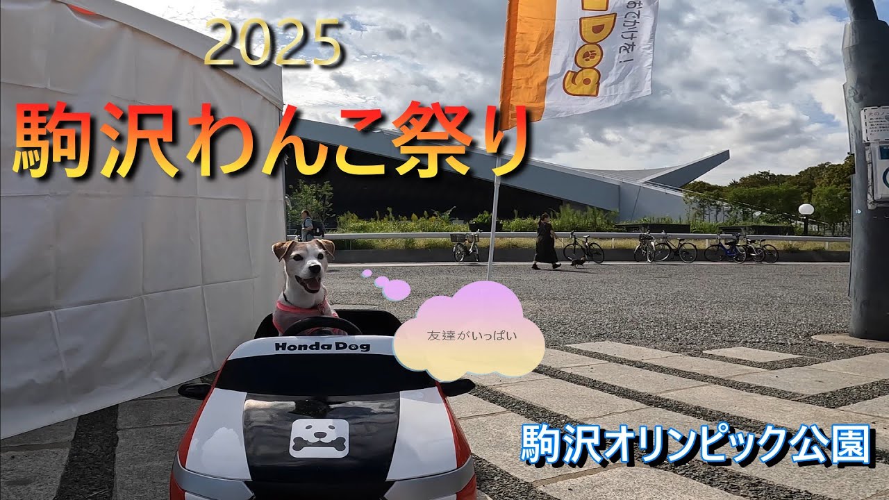 【駒沢わんこ祭り】お洋服👚おやつ🧁のお買い得品が盛り沢山
