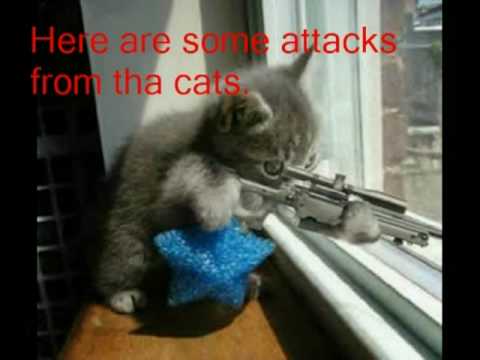 Ninja Cat Attack -