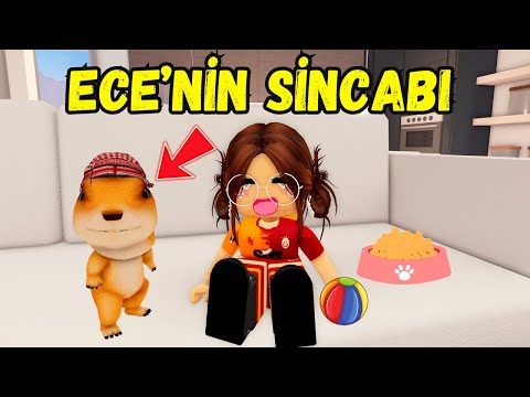 ECE'NİN SEVİMLİ SİNCABI ŞEHRİYE🥰AYŞEM ECE ARI💥ARIGİLLER🐝ROBLOX BERRY AVENUE🏡RP