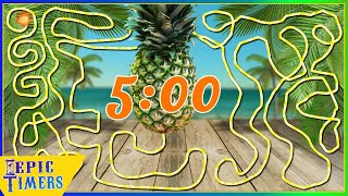 5 Minute Timer with Music and fun Pineapple timer bomb
