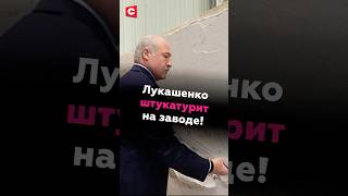 «Тяжело это?» Лукашенко штукатурит на заводе #беларусь #лукашенко #президент #батька