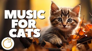 EXTRA-SOOTHING Magic Relaxation Music for Cats - Fast Acting ⚡