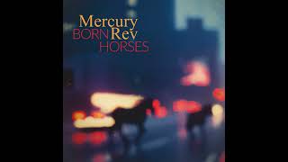Mercury Rev - There's Always Been A Bird In Me