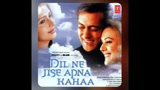 Yeh Dil Toh Mila Hai-Dill Ne Jise Apna Kaha~Topic