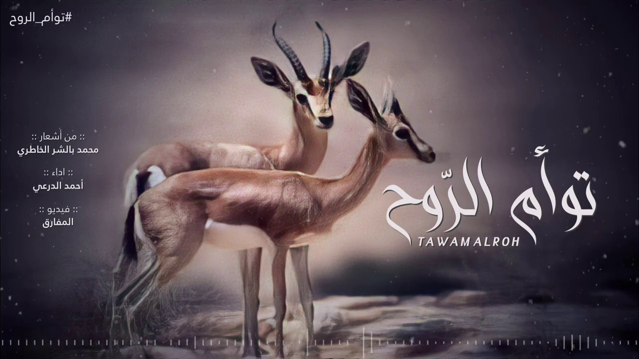 توأم الروح - أحمد الدرعي (حصرياً) | 2021