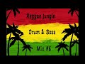 Reggae Jungle Drum and Bass Mix #6 2021 1 Hour 45 Mins