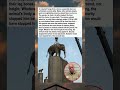 Man Tried Hanging an Elephant Above Concrete Pillars