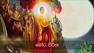 Mora piritha