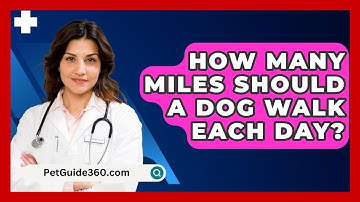 How Many Miles Should a Dog Walk Each Day? - PetGuide360.com