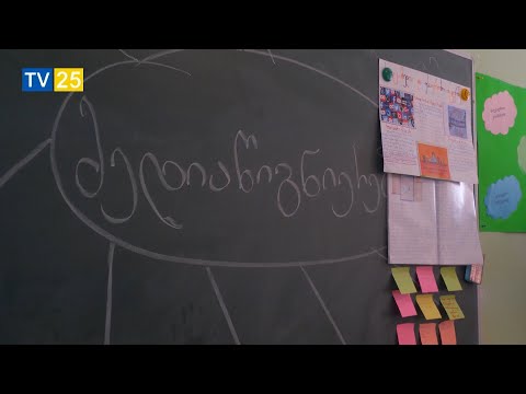 სკოლებში მედიაწიგნიერების დღე აღინიშნა