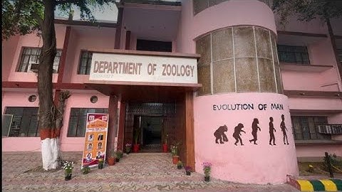how department of zoology looks like? Chaudhary Charan Singh University Meerut #zoology #ccs #viral