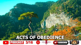 Embracing the Heart of Apostolic Obedience: A Call to Boldness and Cultural Relevance in Mission