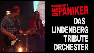 Der Udonaut &amp; die Paniker - Du knallst in mein Leben  (livestream)
