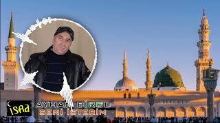 Ayhan Birol - Seni İsterim Yeni İlahi Resimi