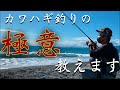 【カワハギ名人】サーフでカワハギ釣り教えます！シーバスロッドで簡単ちょい投げ釣り