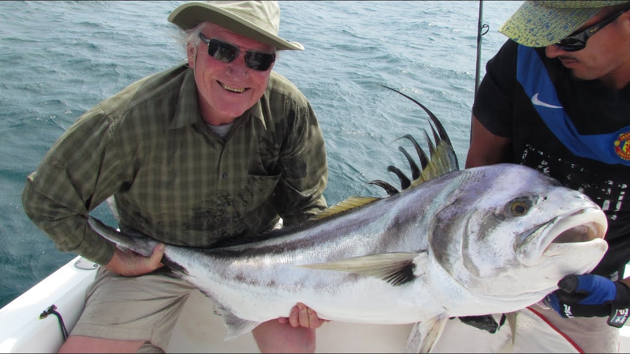 cape fishing safaris