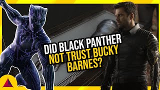 Did Black Panther not trust Bucky Barnes?#falconandthewintersoldier