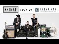 PRIMAL Live at Labyrinth Studios Nottingham