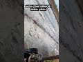 පොහොය දවසේ දුන්න දන්සල 🙄🙄👍#
