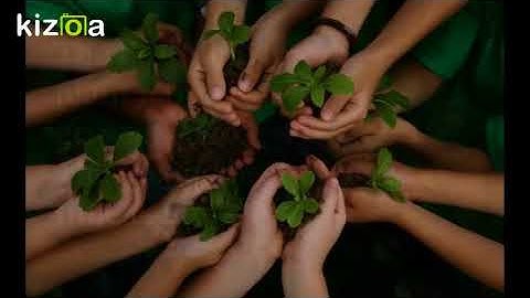 Kizoa Movie - Video - Slideshow Maker: Copy of Environmental disaster