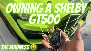 The struggles of owning a Shelby GT500 (6months ownership)