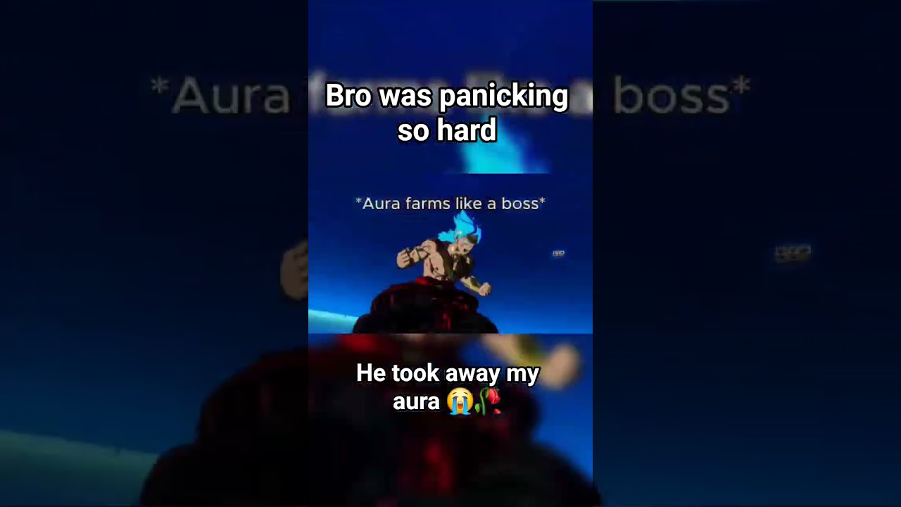 Bro was panicking so hard he even VA 2 times mid combo lmao 